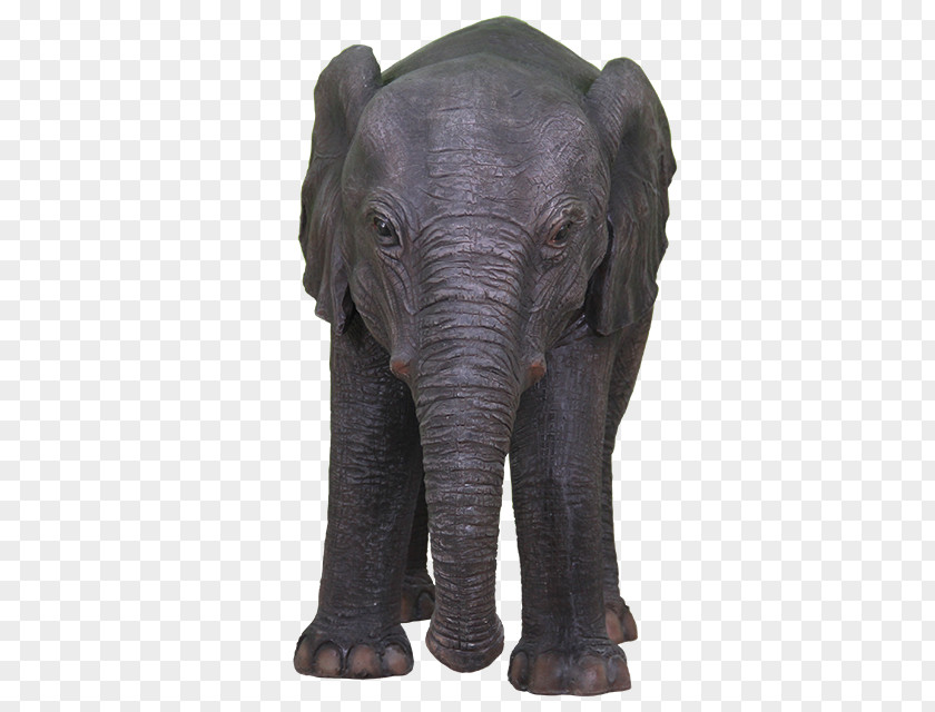 Elephant Motif Indian African Terrestrial Animal Wildlife PNG