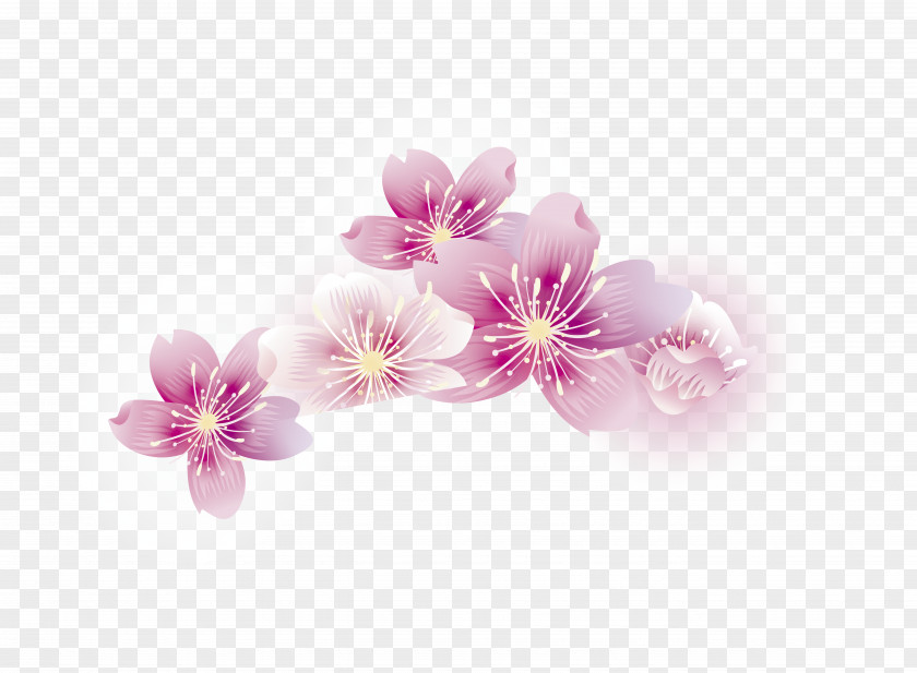 Peach Blossom Cherry Stick Baseball Petal PNG