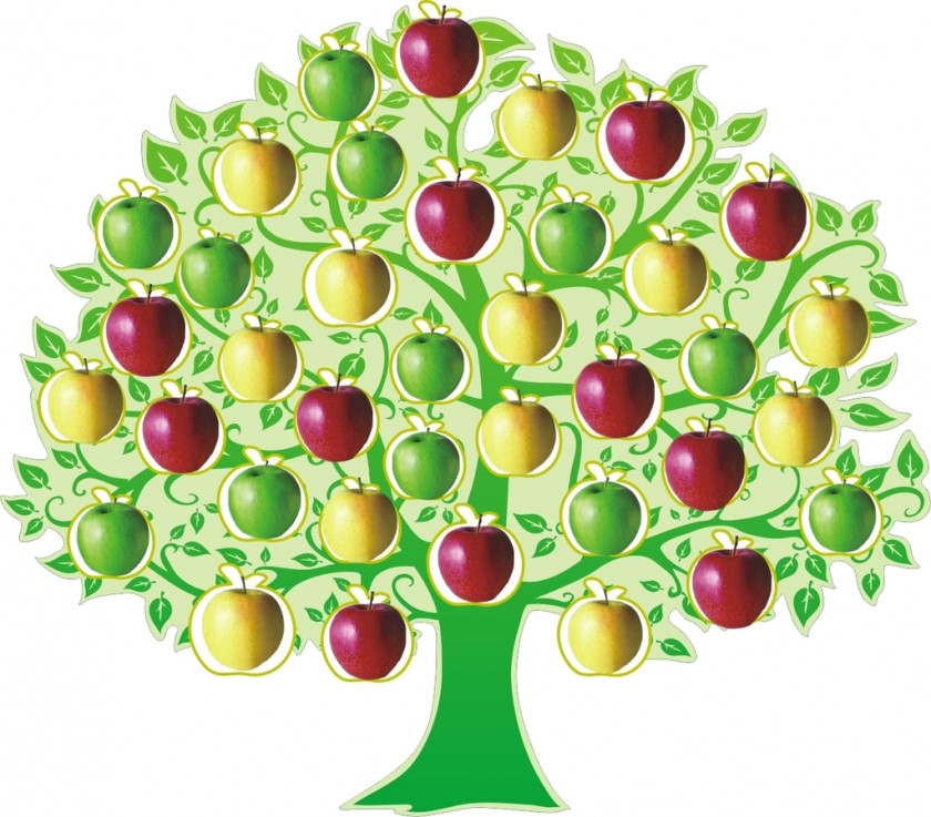 Tree Fruit Apple Dwarfing Clip Art PNG