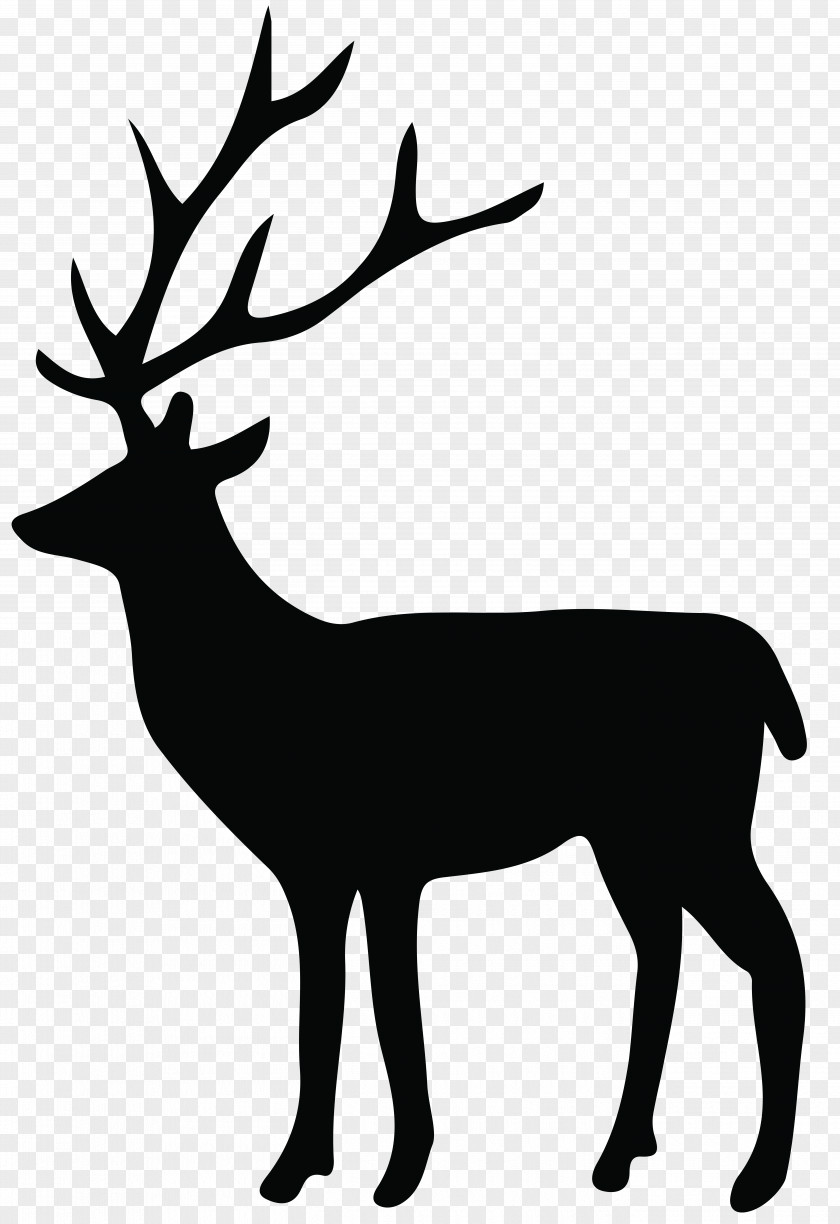 Deer Silhouette Transparent Clip Art Image Reindeer White-tailed PNG