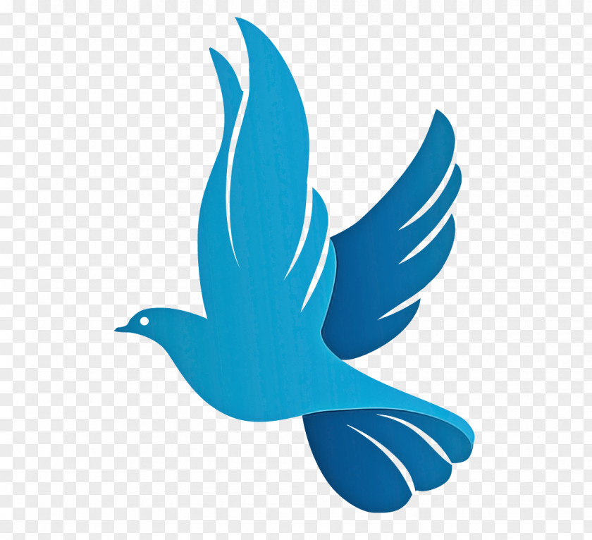 Redemption Tabernacle Columbidae Logo White Doves PNG