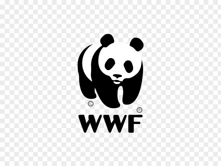 5 Examples Of Endangered Species Giant Panda World Wide Fund For Nature International WWF-Australia PNG