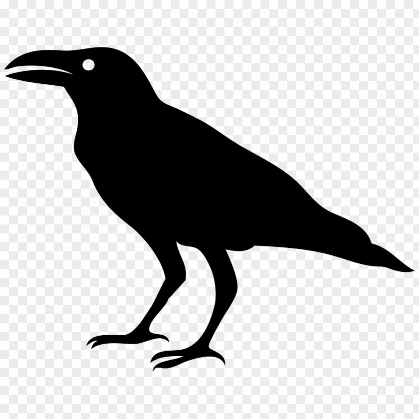 Crow Art Rhetoric PNG