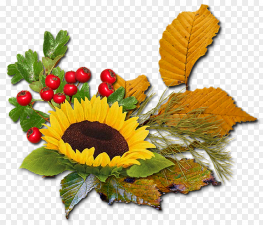 Deco Floral Design Cut Flowers Flower Bouquet Autumn PNG