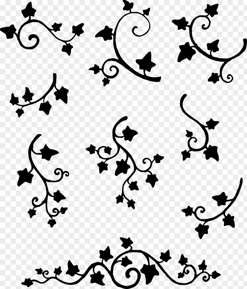 Design Drawing Tattoo Common Ivy Clip Art PNG