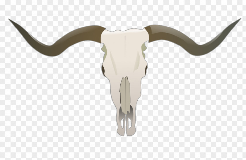 Gnokii Texas Longhorn Skull Clip Art PNG
