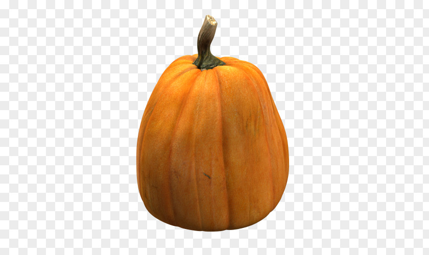 Pumpkin Jack-o'-lantern Calabaza Gourd Cucurbita Maxima PNG