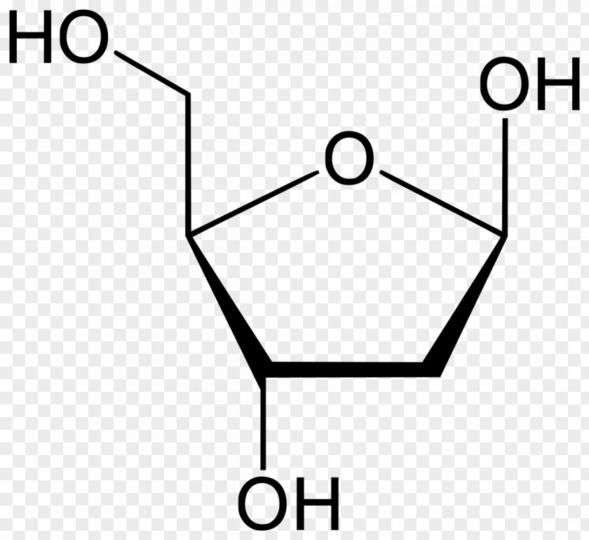Threeact Structure Fructose Monosaccharide Ribose Furanose Carbohydrate PNG
