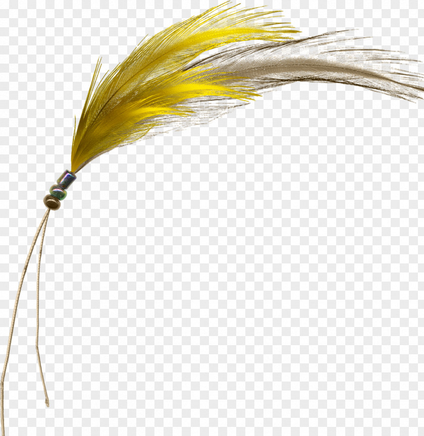 Yellow Feathers Feather Gratis PNG