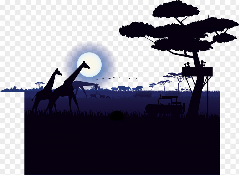 Giraffe Northern Illustration PNG