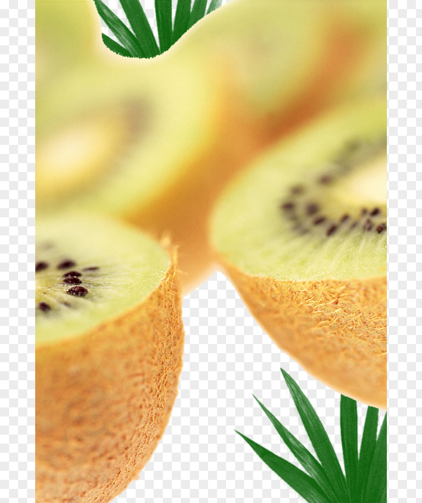 Kiwi Fruit Cut In Half Creative Kiwifruit Auglis PNG