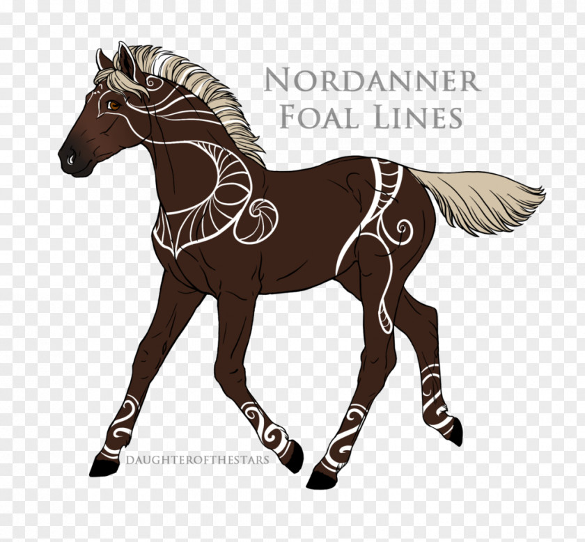 Mustang Pony Stallion Colt Art PNG
