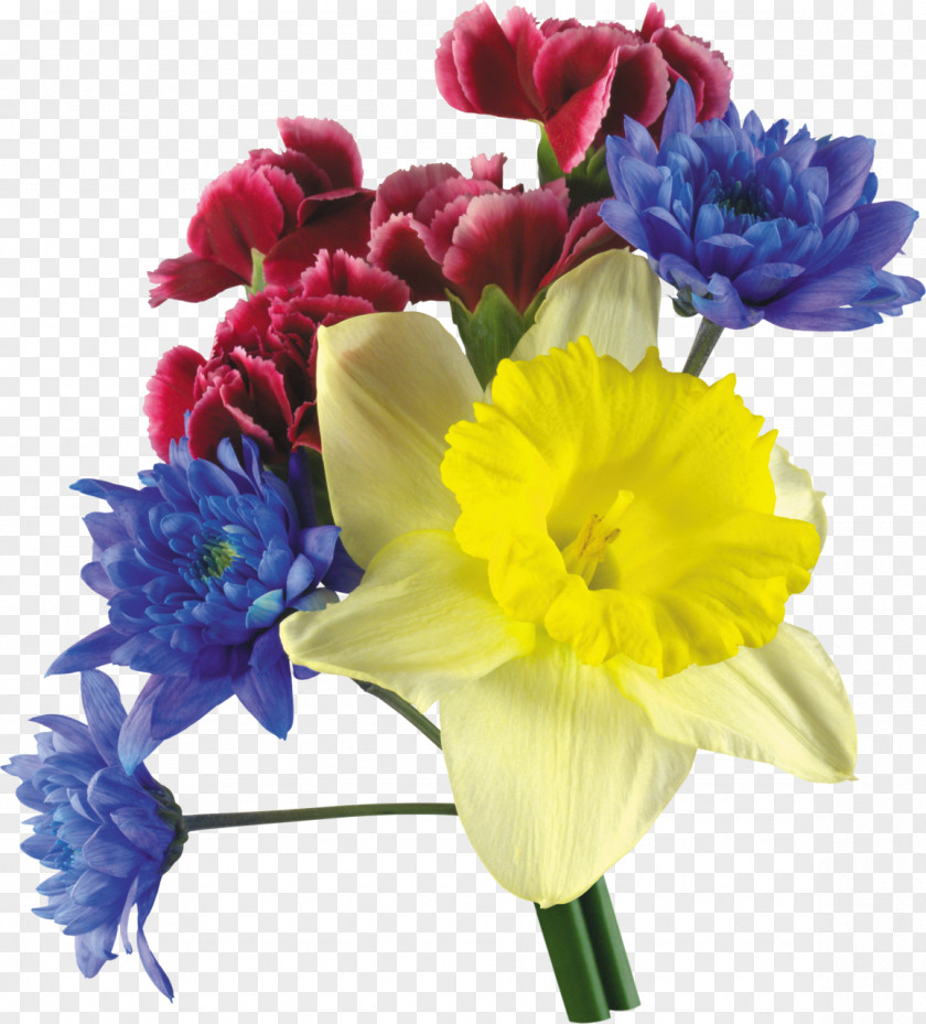 Narcissus Carnation Flower Bouquet Tulip PNG