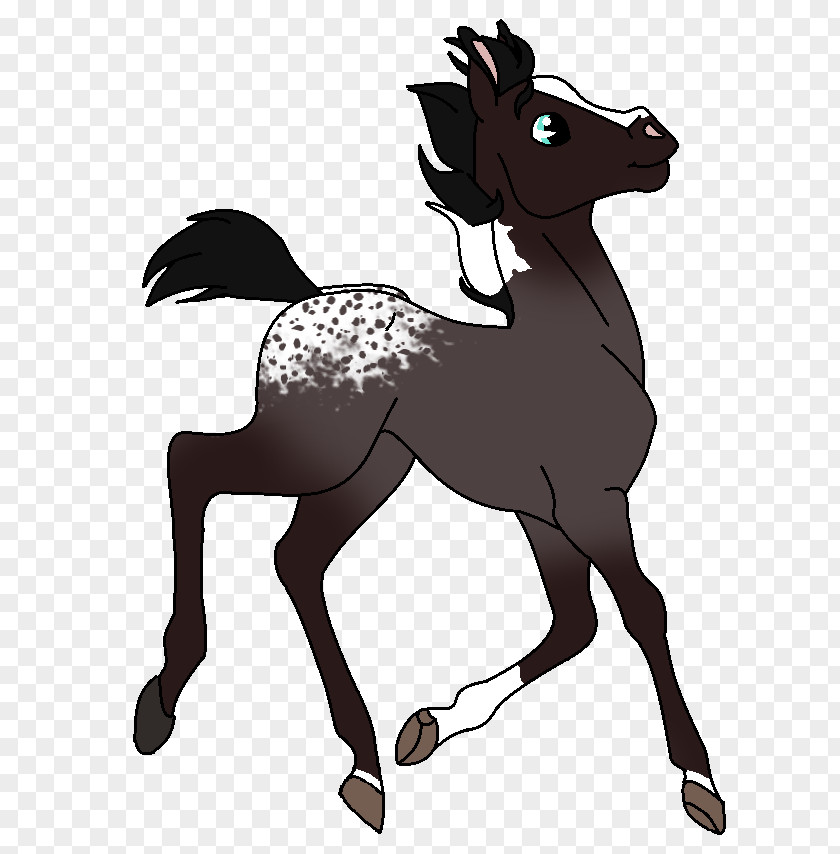 Plea Pony Foal Colt Stallion Mustang PNG