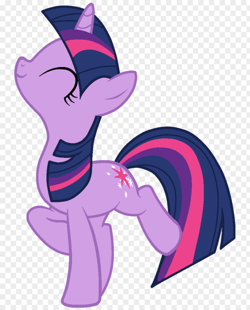 Twilight Sparkle Rarity Rainbow Dash Pony Applejack PNG
