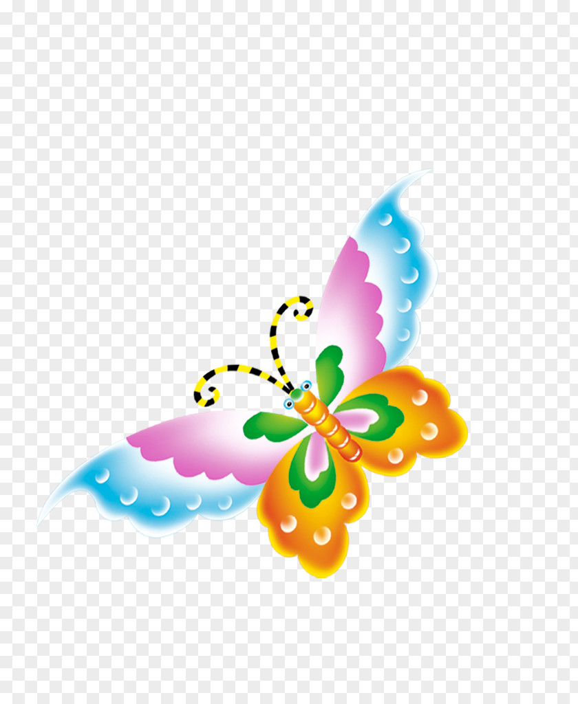 Butterfly Creativity PNG