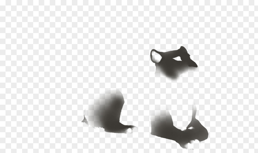 Cat Desktop Wallpaper White Font PNG