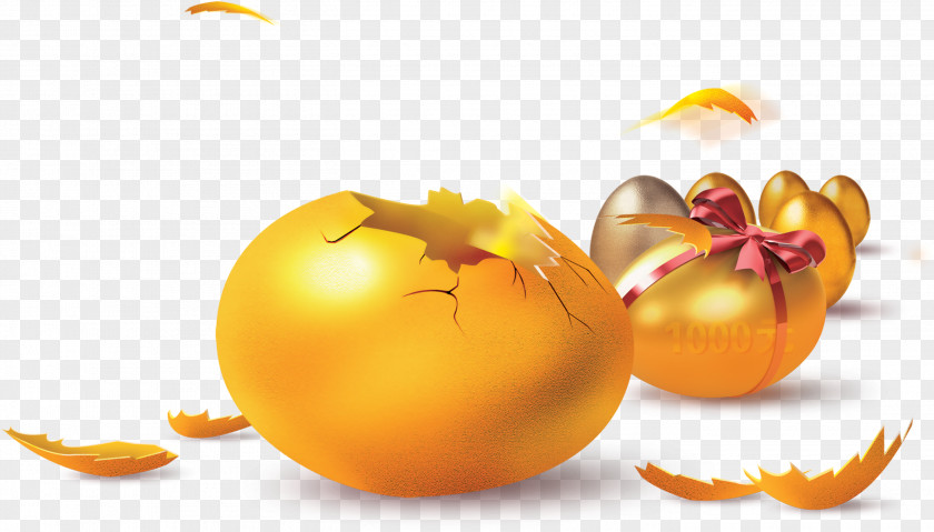 Eggs Poster Clip Art PNG