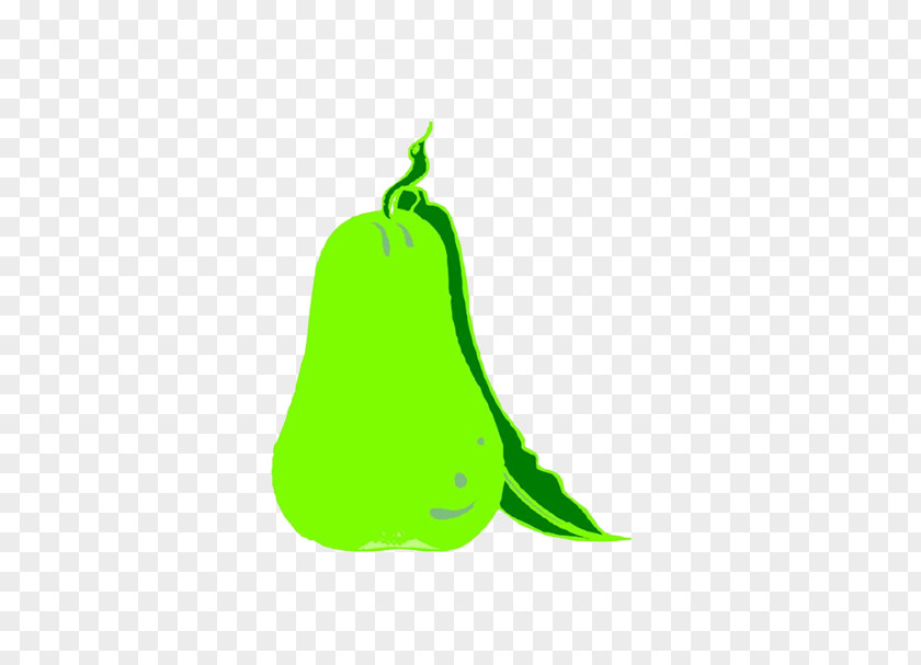 Green Pear European Fruit Drawing PNG