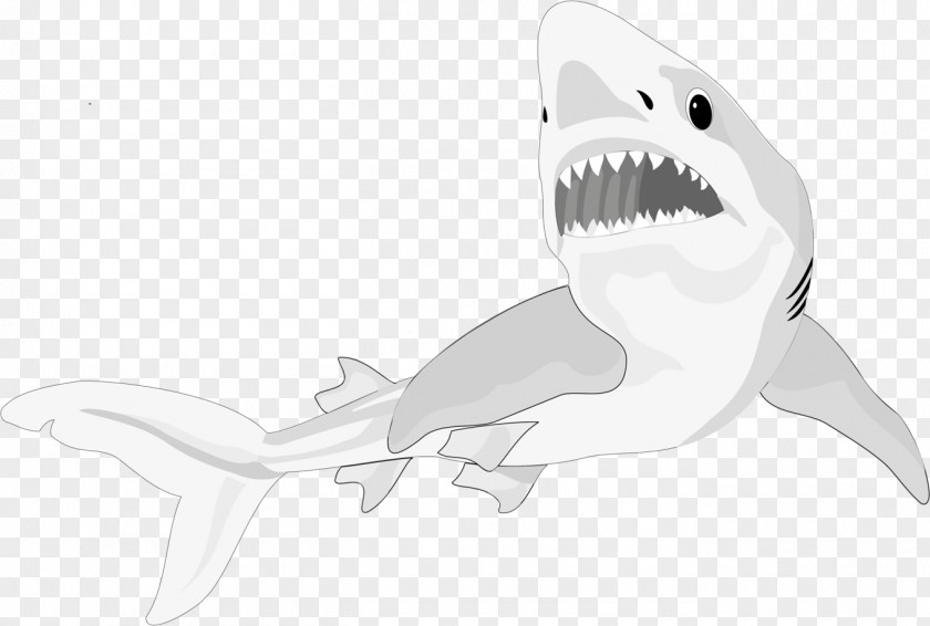 Sharks Shark Seahorse Fish Animal Chondrichthyes PNG