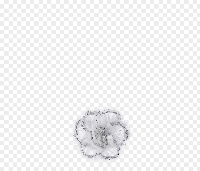 Silver Fur PNG