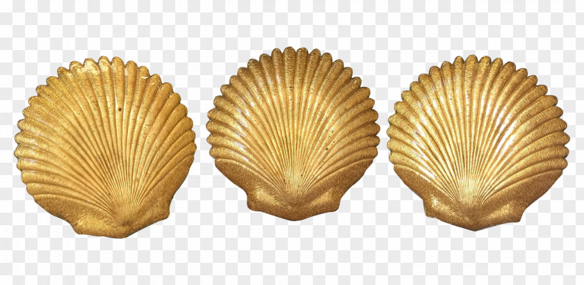 Vintage Gold Clam Seashell Cockle Mussel Oyster PNG
