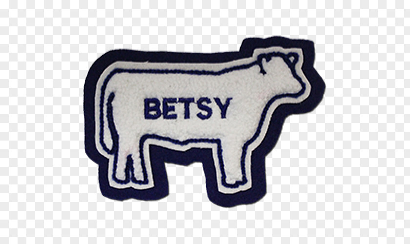 Bewtsy Texas Embroidered Patch Shoulder Sleeve Insignia Embroidery PNG