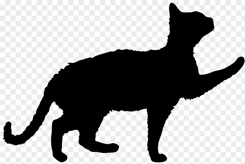Cat Domestic Short-haired Kitten Stencil Black PNG