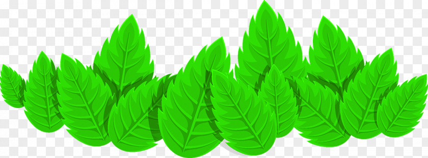 Green Leaves Dietary Supplement Nutrition Growth Hormone Arteriosclerosis Organism PNG