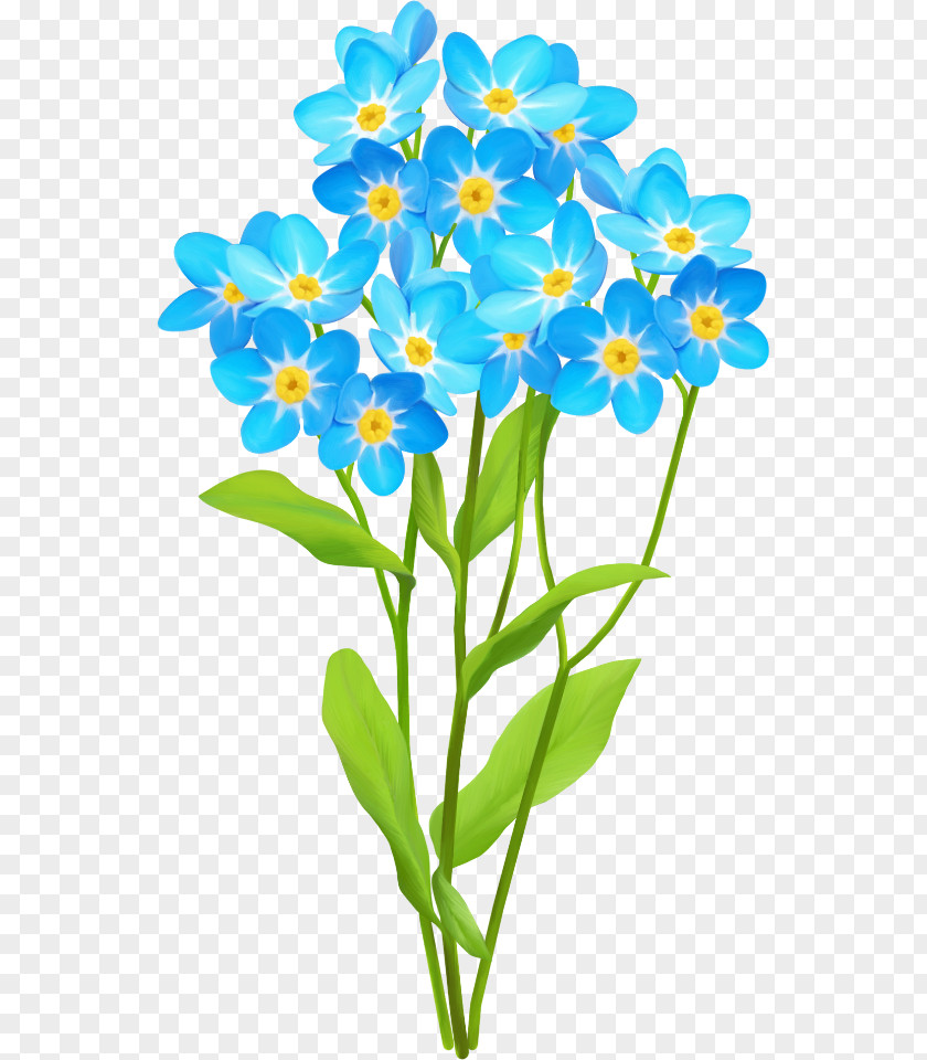 Spring Aspect Dnevnik.ru Flower LiveInternet Diary Blog PNG