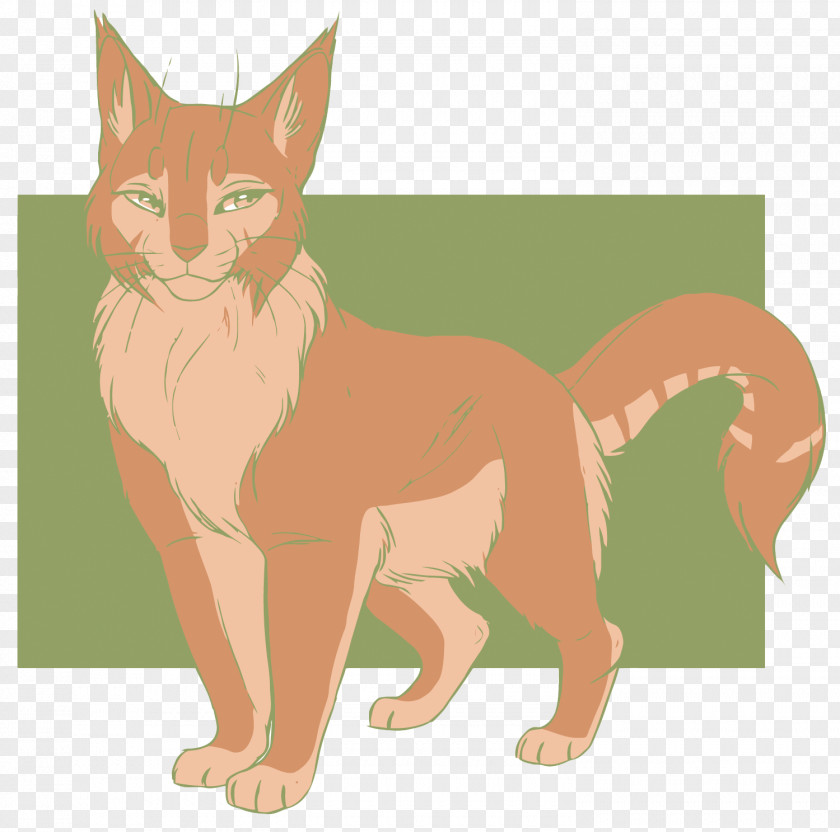 Vector Cat Whiskers Kitten Red Fox Felidae PNG