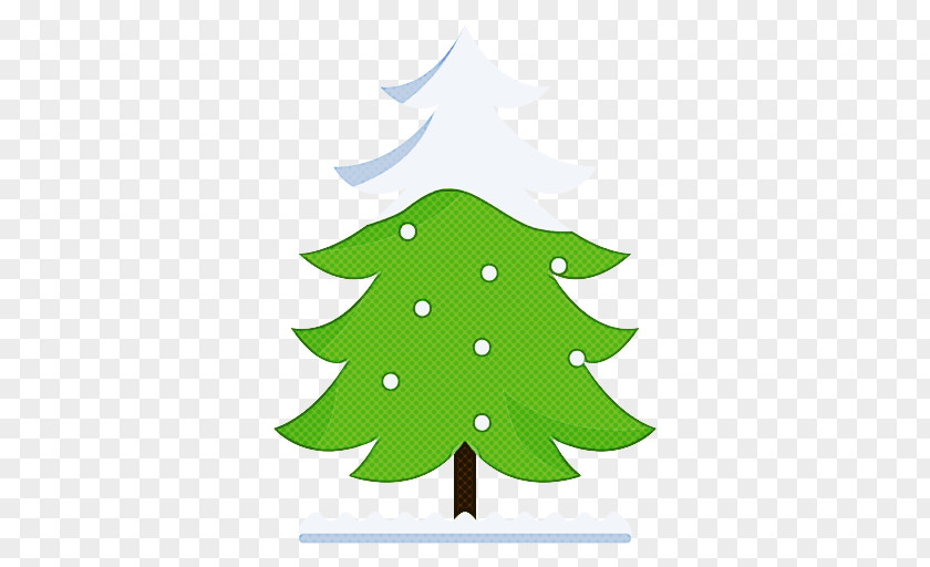 Woody Plant White Pine Christmas Tree PNG