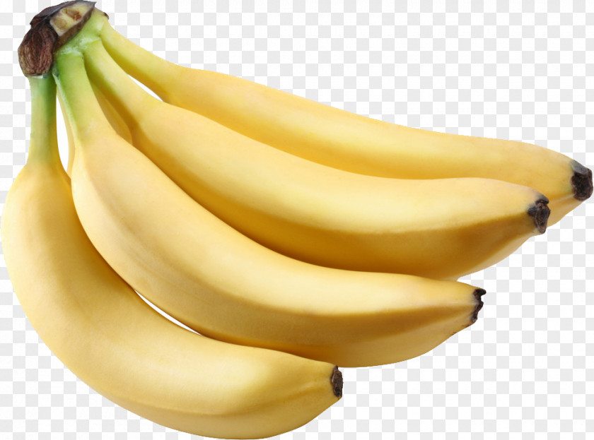 Banana Dwarf Cavendish Lady Finger Panama Disease PNG