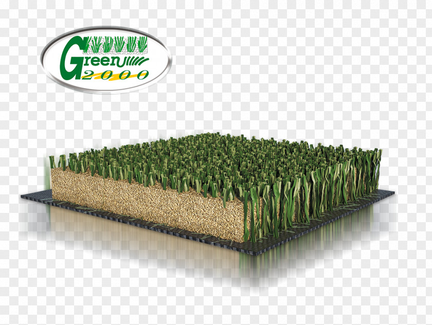 Football Grass Artificial Turf Lawn Italgreen SpA Athletics Field PNG