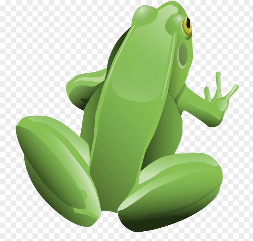 Frog Pictures And Toad Clip Art PNG