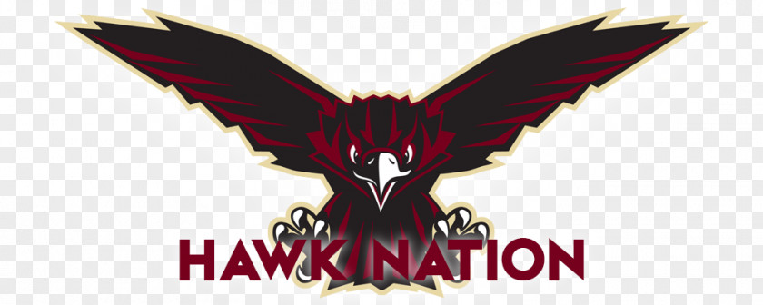Hawk Wings Skyhawk Logo Southridge High School Font PNG
