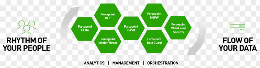 Human Organization Management Computer Security System IT Risk PNG