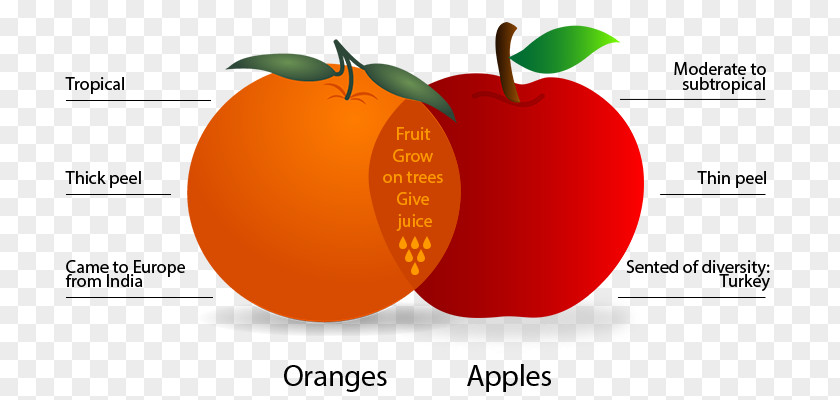 Reading Writing Thinking Venn Diagramm Apples And Oranges Food Fruit PNG
