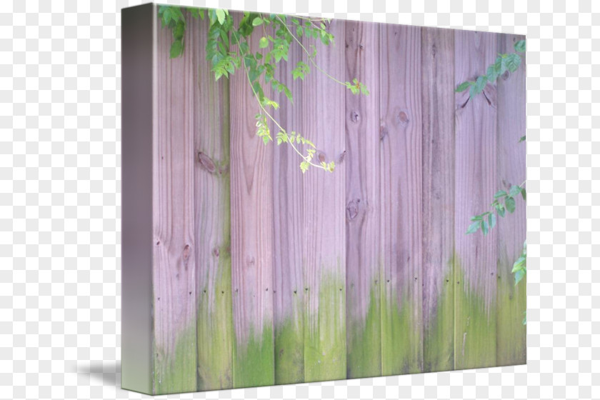 Turquois Purple Living Room Design Ideas /m/083vt Wood Curtain PNG