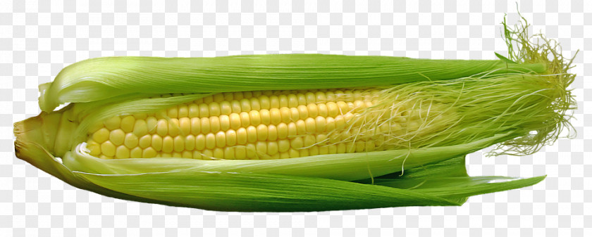 Vegetable Corn On The Cob Maize Food Kernel PNG