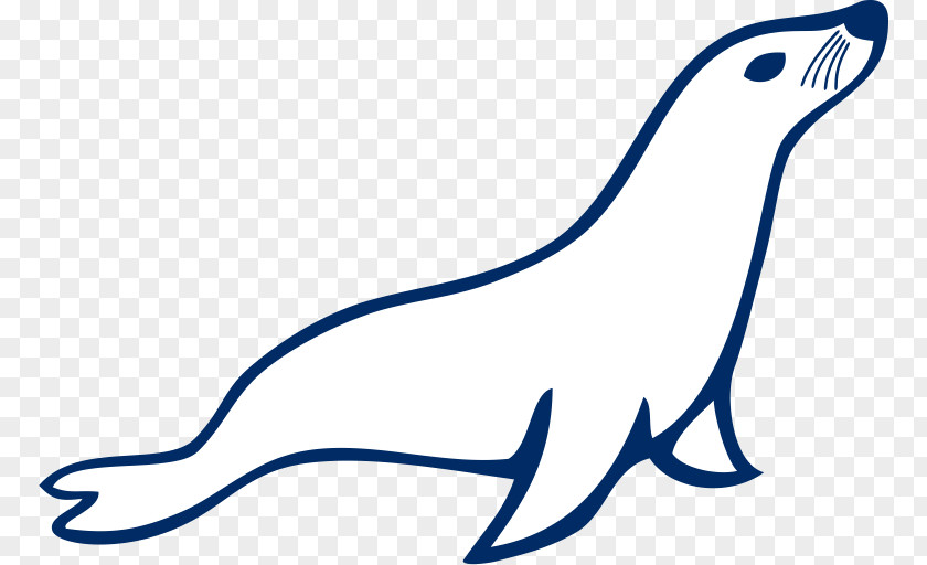 MariaDB Logo PNG Logo, white sea lion illiustration clipart PNG