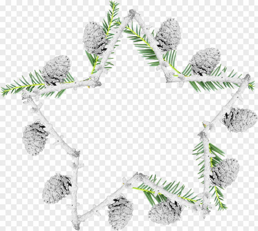 Winter Border Fir Picture Frames Snow Pine Christmas Ornament PNG