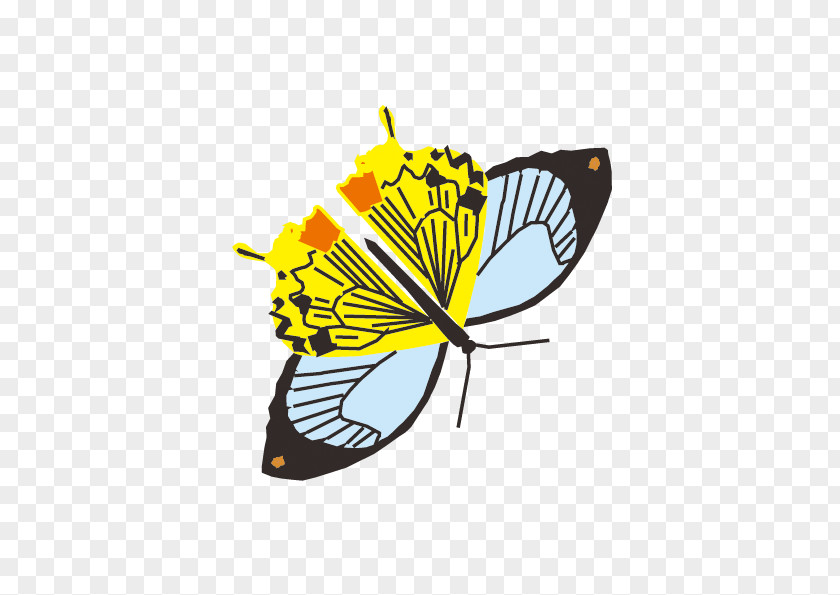 Cartoon Butterfly Drawing PNG