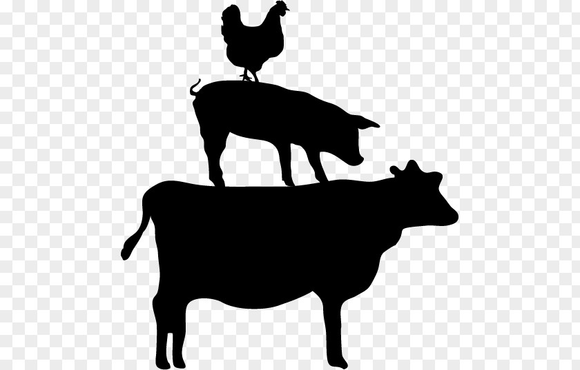Pig Farm Berkshire Sheep Millgate Meat PNG