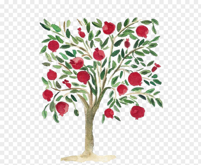 Pomegranate Tree Mediterranean Cuisine Watercolor Painting PNG