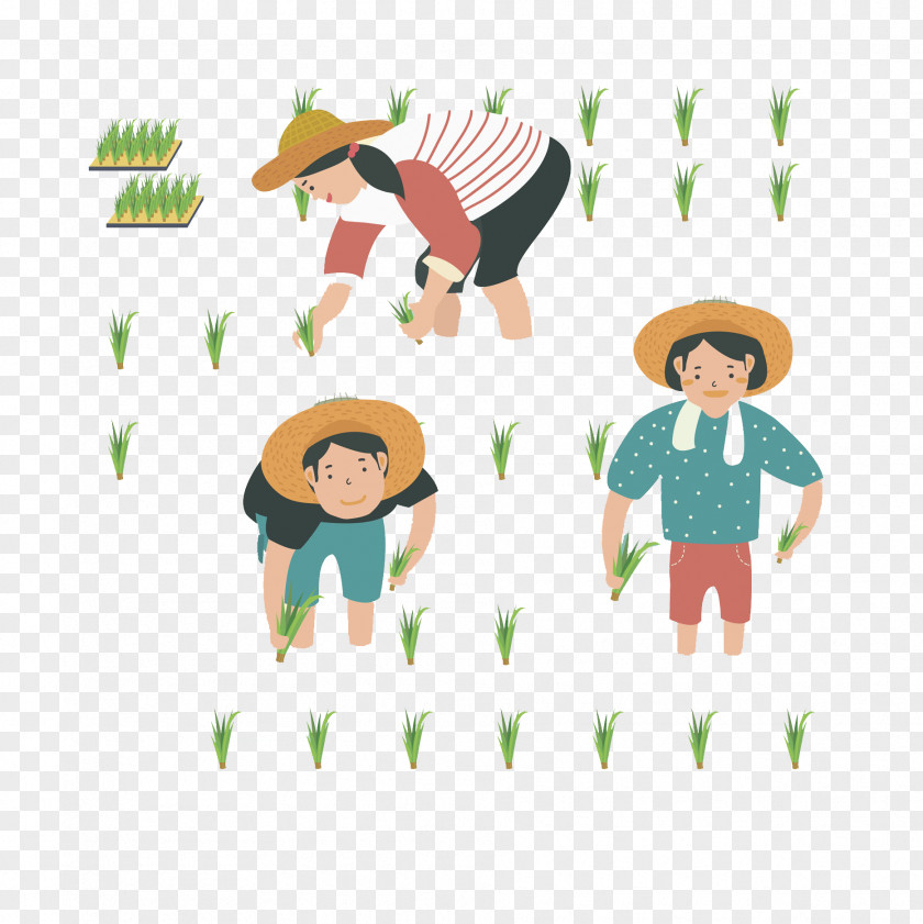 Transplanting Rice Farmers Farmer Transplanter Uad6dub9bdub18duc0b0ubb3cud488uc9c8uad00ub9acuc6d0 Agriculture PNG