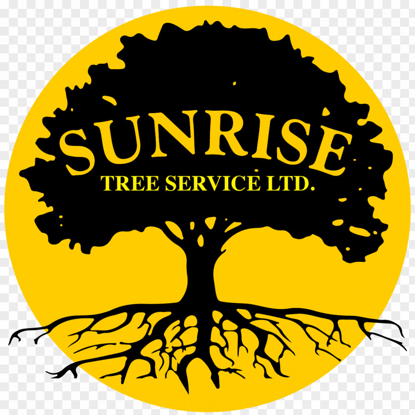 Tree Sunrise Service Oak Arborist House PNG