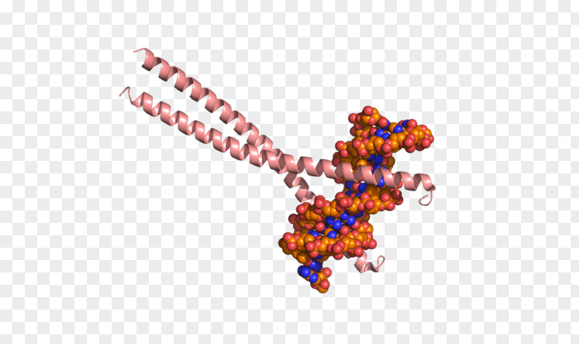 Bzip Domain CEBPB Ccaat-enhancer-binding Proteins Histone Acetyltransferase CEBPA Structure PNG