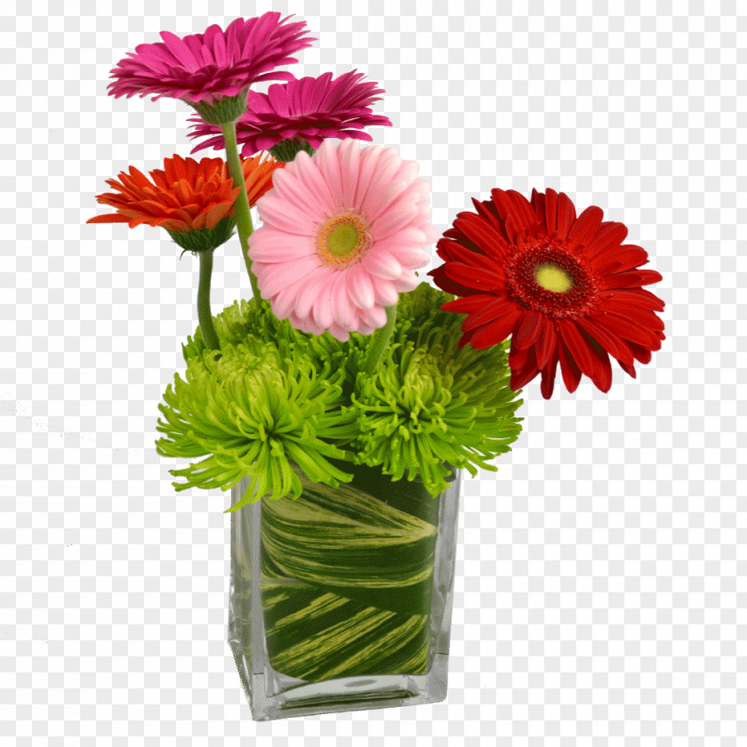 Daisys Cut Flowers Floristry Flower Bouquet Floral Design PNG