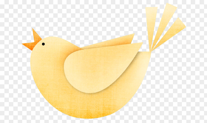 Design Beak Material PNG